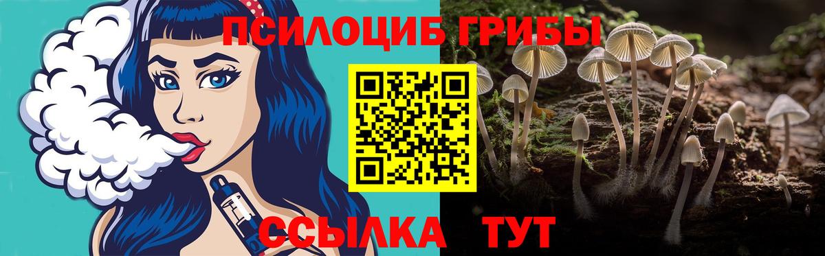 Псилоцибиновые грибы мухоморы Набережные Челны